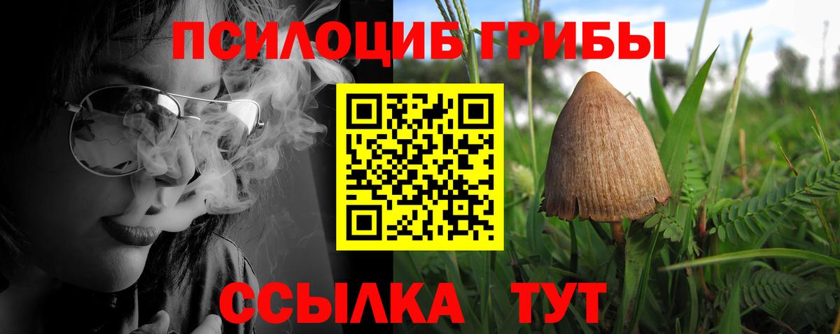 Галлюциногенные грибы Cubensis Вичуга
